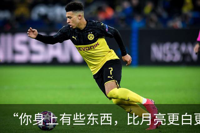 “你身上有些东西，比月亮更白更圆 ”