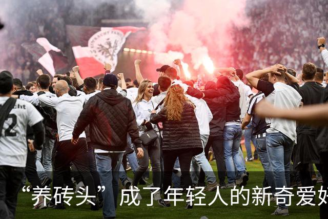 “养砖头”成了年轻人的新奇爱好，你看懂了吗？