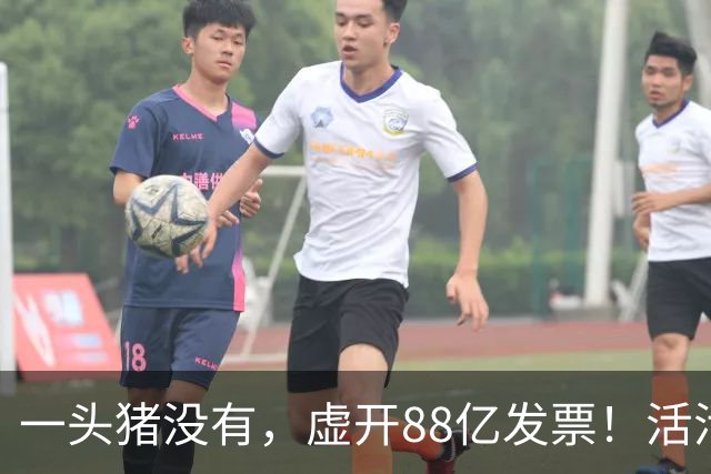 一头猪没有，虚开88亿发票！活活套走国企6000万