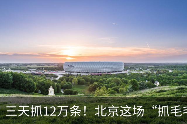 三天抓12万条！北京这场“抓毛毛虫大赛”国庆继续挑战