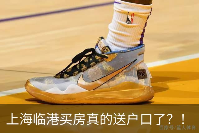 上海临港买房真的送户口了？！