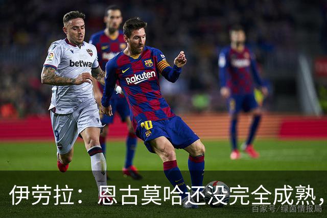 伊劳拉：恩古莫哈还没完全成熟，他还能继续吸收补充新的技能
