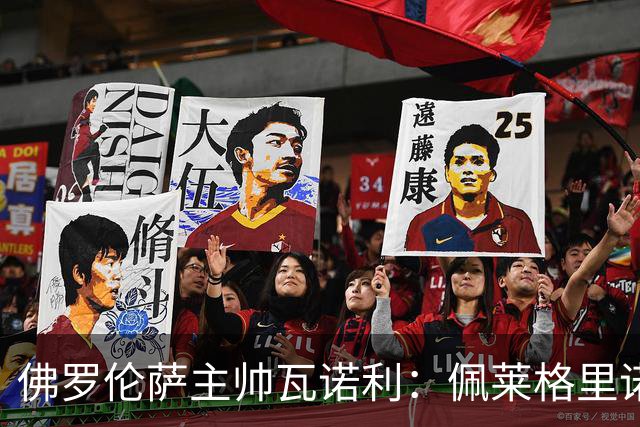 佛罗伦萨主帅瓦诺利：佩莱格里诺和贝托能以不同方式帮助球队