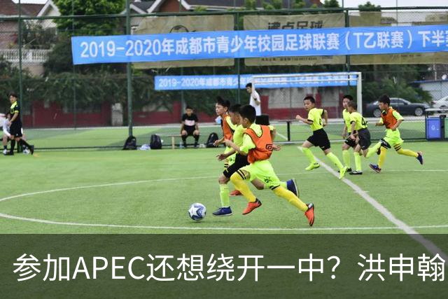 参加APEC还想绕开一中？洪申翰准备赴南京，大陆不给“台独”开门