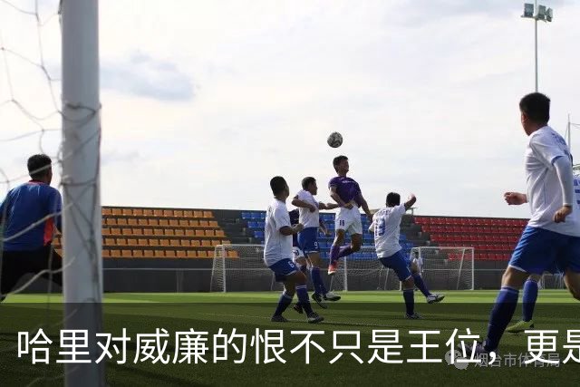 哈里对威廉的恨不只是王位，更是威廉那张越来越像戴安娜的脸！