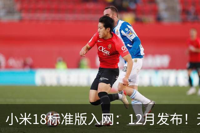 小米18标准版入网：12月发布！无防窥屏