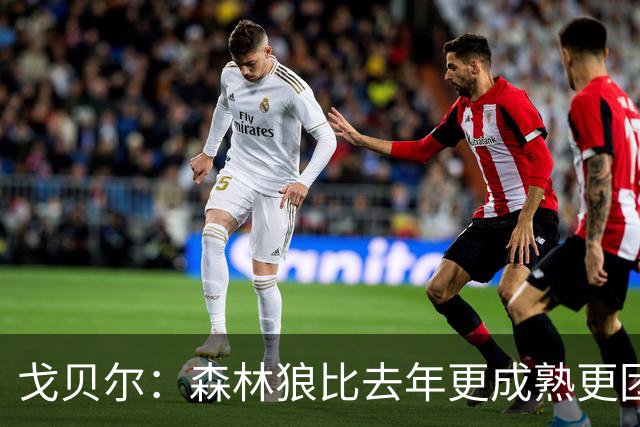戈贝尔：森林狼比去年更成熟更团结 希望到五六月能应对任何挑战