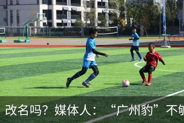 改名吗？媒体人：“广州豹”不够接地气，语义跟南粤文化有疏离感