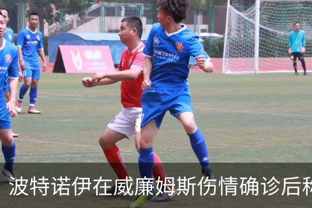 波特诺伊在威廉姆斯伤情确诊后称芝加哥欠他一个道歉