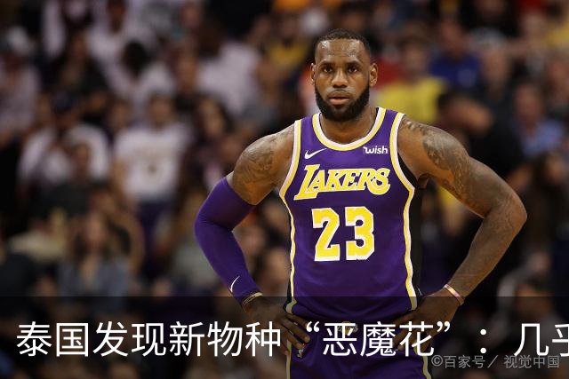 泰国发现新物种“恶魔花”：几乎全黑，已知不到50株