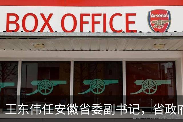 王东伟任安徽省委副书记，省政府党组书记、代理省长