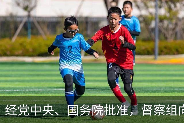经党中央、国务院批准，督察组向黑龙江省委、省政府进行反馈