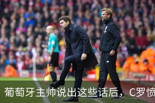 葡萄牙主帅说出这些话后，C罗愤而离开国家队