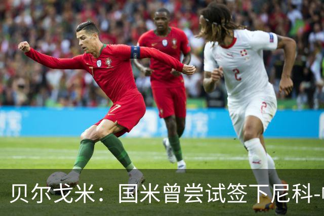 贝尔戈米：国米曾尝试签下尼科-帕斯；前场需要特点不同的球员