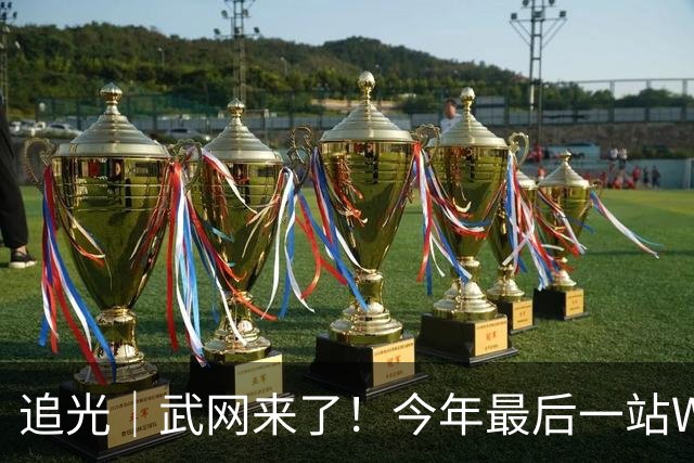 追光｜武网来了！今年最后一站WTA1000赛有何看点？