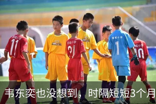 韦东奕也没想到，时隔短短3个月，王虹竟再向学术界亮出“王牌”
