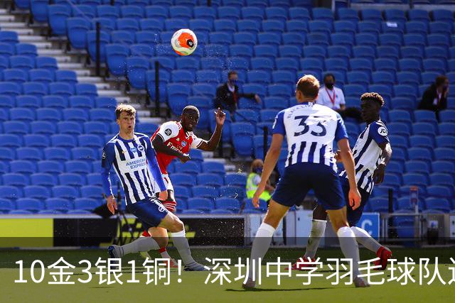10金3银1铜！深圳中学羽毛球队连续三年“双第一”