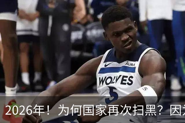 2026年！为何国家再次扫黑？因为“黑势力”已经悄悄换了马甲