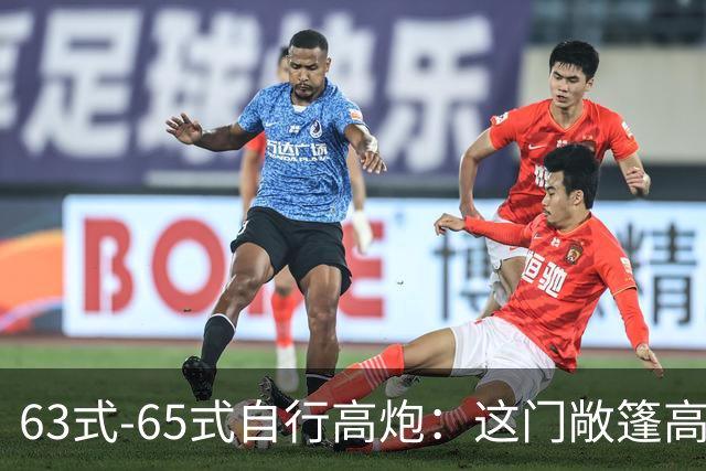 63式-65式自行高炮：这门敞篷高炮如何成了越战丛林里的火力噩梦